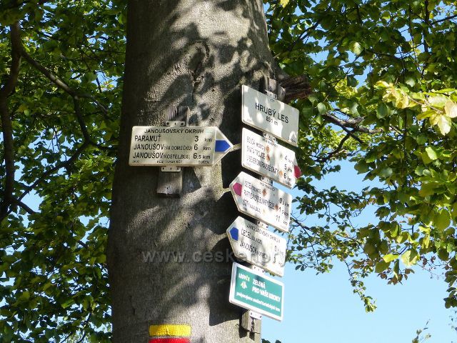 Písařov - turistický rozcestník "Hrubý les, 831 m.n.m."