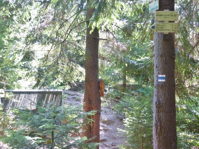 Horní Orlice - lokalita pramenu Tiché Orlice