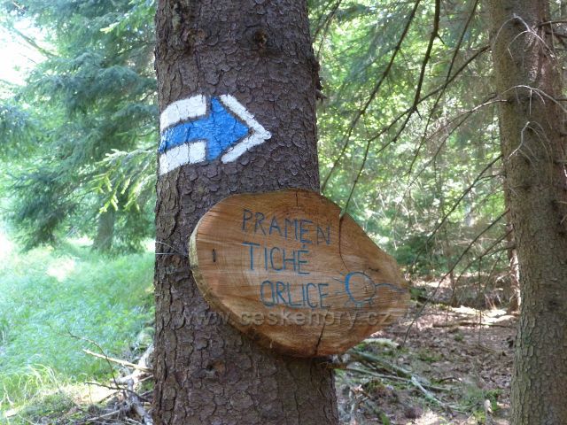 Horní Orlice - místní označení pramenu Tiché Orlice