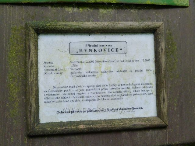 Jamné nad Orlicí - popis Přírodní rezervace Hynkovice
