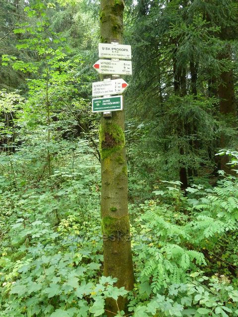 Vamberk - turistický rozcestník"U sv.Prokopa, 475 m.n.m."