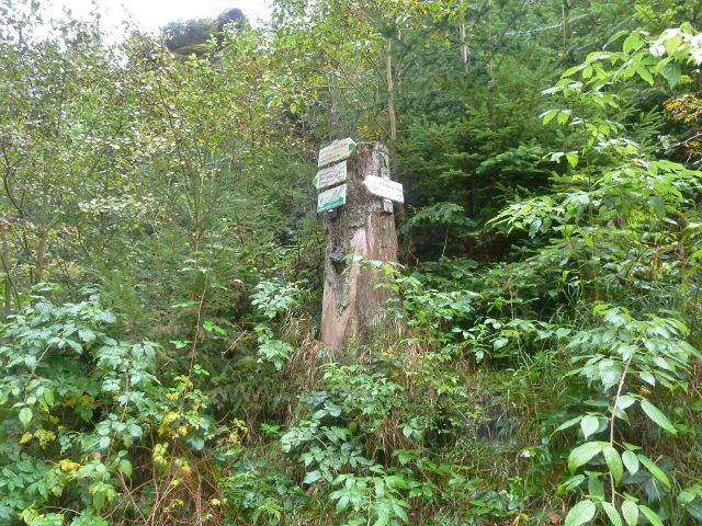 Polické stěny - turistický rozcestník "Suchý Důl(rozc)"