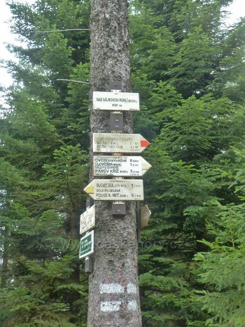 Polické stěny - turistický rozcestník "Nad Hájkovou roklí(rozc.), 657 m.n.m."