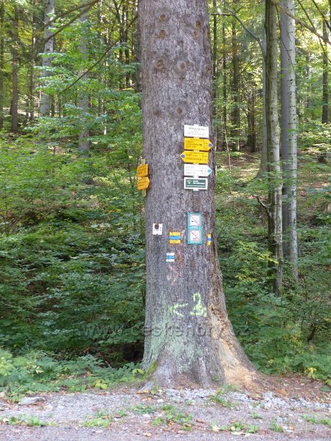 Loučná nad Desnou - turistický rozcestník"Přemyslov, 630 m.n.m., horská osada z roku 1651,něm.název PRIMISWALD"