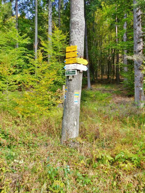 Loučná nad Desnou - turistický rozcestník       "Slezská cesta, 580 m.n.m."