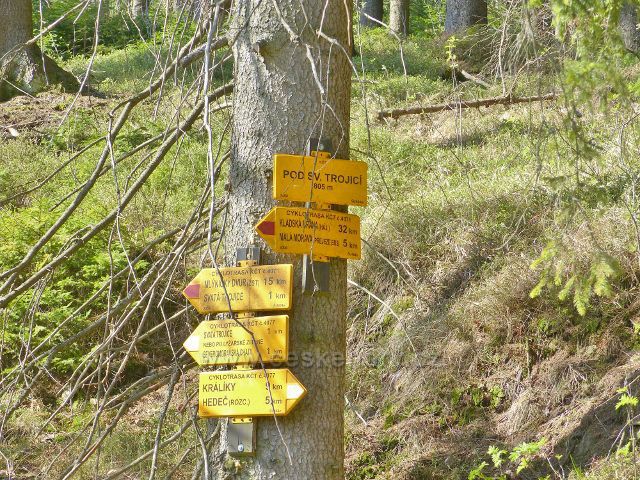 Turistický rozcestník "Pod svatou Trojicí, 805 m.n.m."