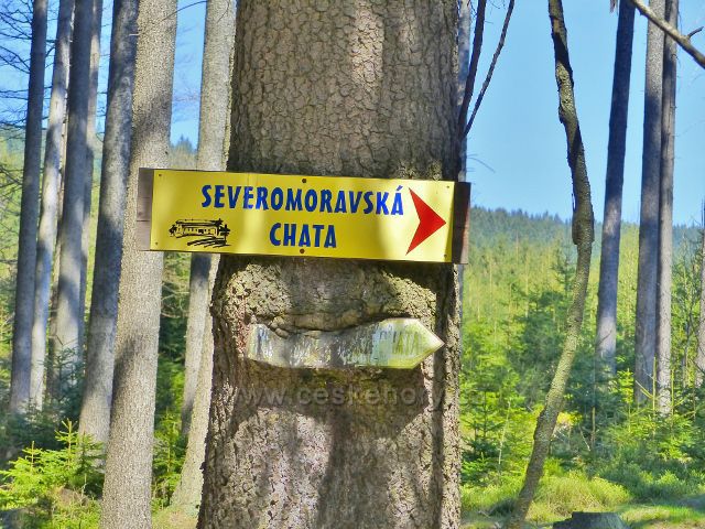 "Věkový rozdíl" - sněrové tabulky na Severomoravskou chatu u silničky z Moravského Karlova