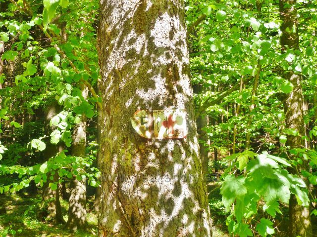 Česká Ves - stará tabulka označující "traumatologický bod", předchůdce současných bodů záchrany