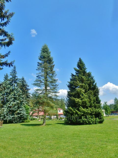 Bludov - lázeňský park