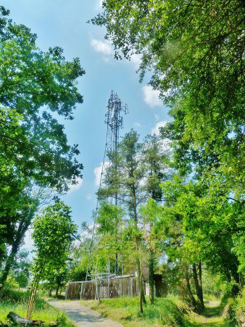 Tupadly - telekomunikační věž nad obcí na úbočí vrchu "Nad Žitavou"