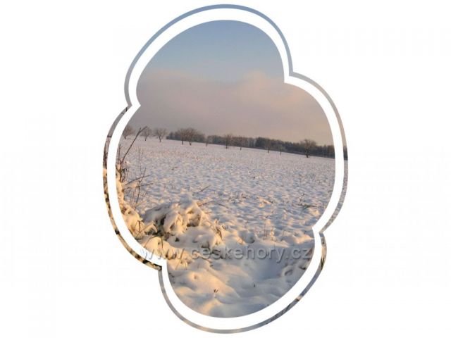 první sníh u Dobrušky