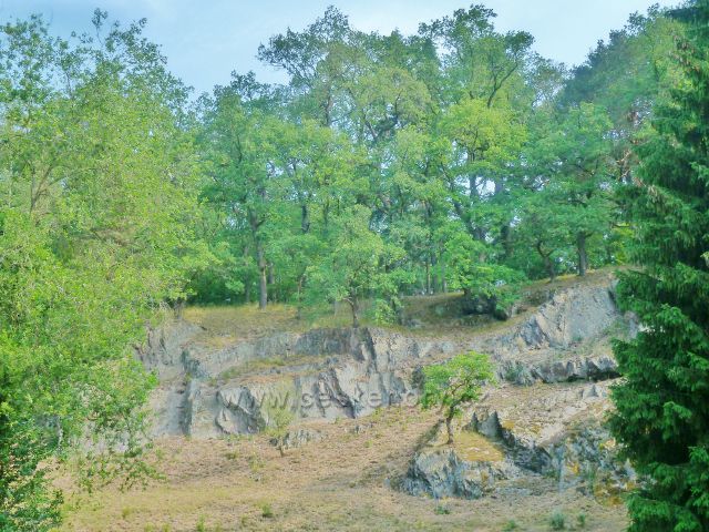 Průhonice - zámecký park, obnažené skalní stěny