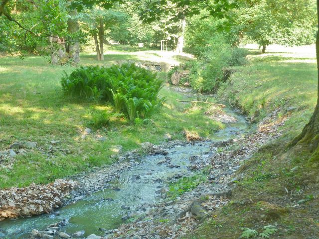 Průhonice - Dobřejovický potok v Zámeckém parku
