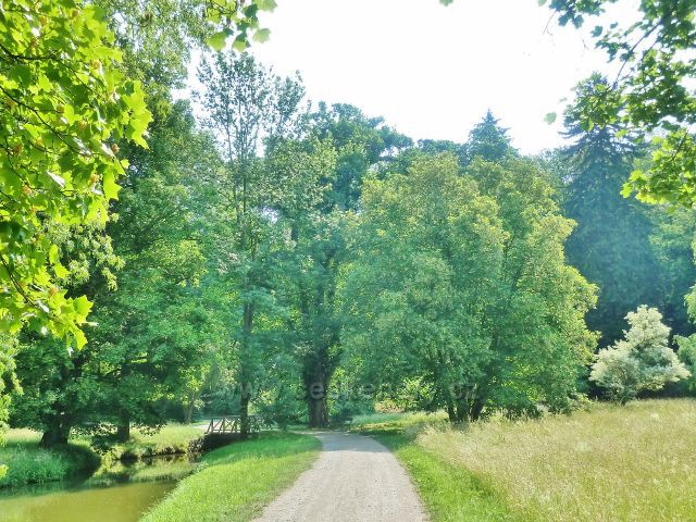 Průhonice - vyhlídková cesta podél Botiče v Zámeckém parku