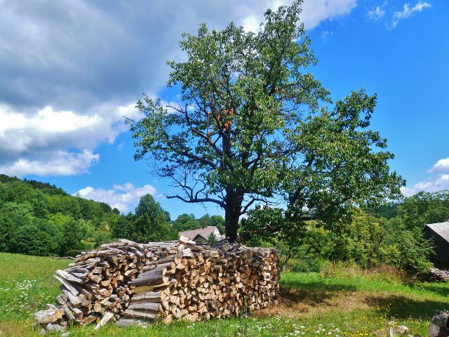 Štědrákova Lhota - zásoby dřeva u chalup v horní části obce