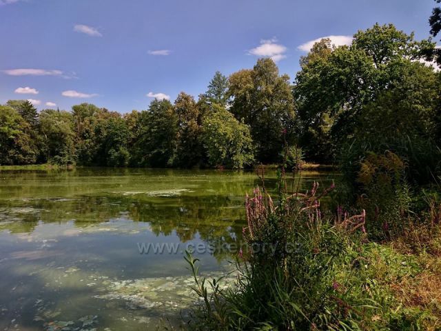 Třemešské rybníky