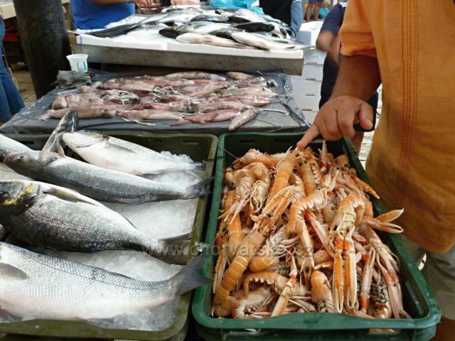 Split - rybí trh