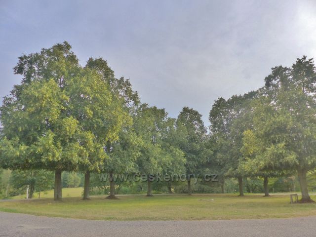 Dolní Žandov - parčík před Manským Dvorem