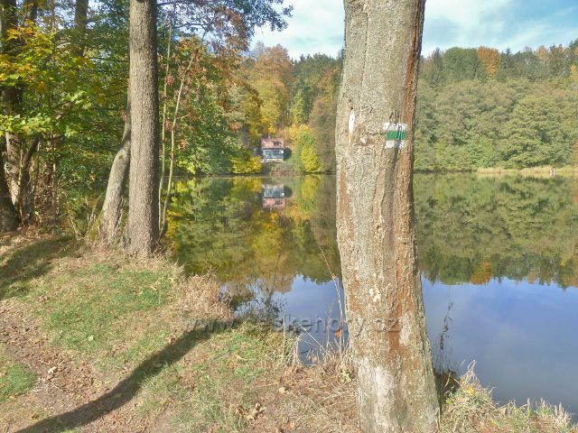 Žamberk - po hrázi Dymlovského rybníku vede trasa po zelené TZ přes Kněžství do Kunvaldu