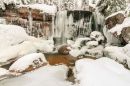 Zimní pohled na hlavní vodopád na Jedlové.