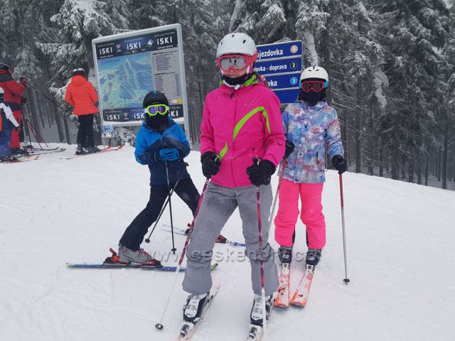 Sjezdovka Žalý-Herlíkovice