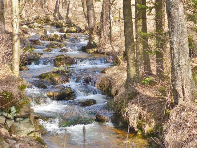 Sklené - prudký spád potoka Malá Morava