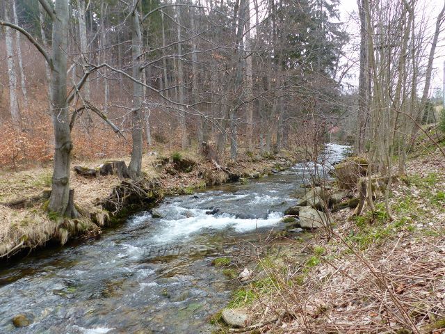 Jarní stav vody na horním toku Moravy