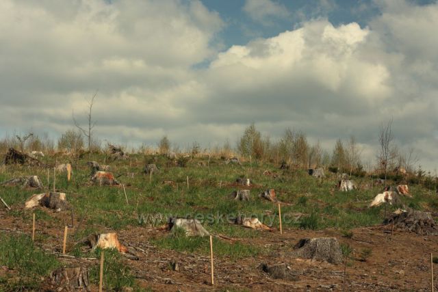 Procházka Medůvkou