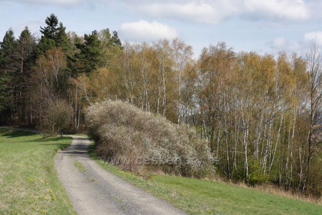 Procházka Medůvkou