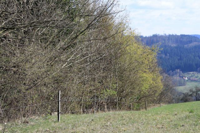 Procházka Medůvkou