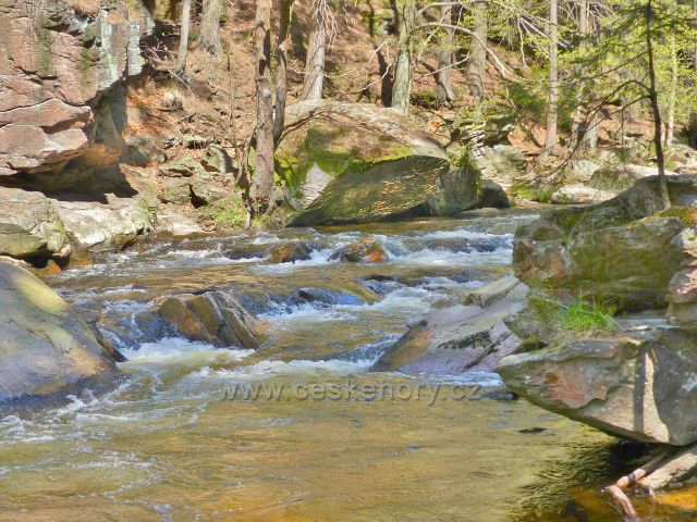 Divoká Orlice v PR Zemská brána