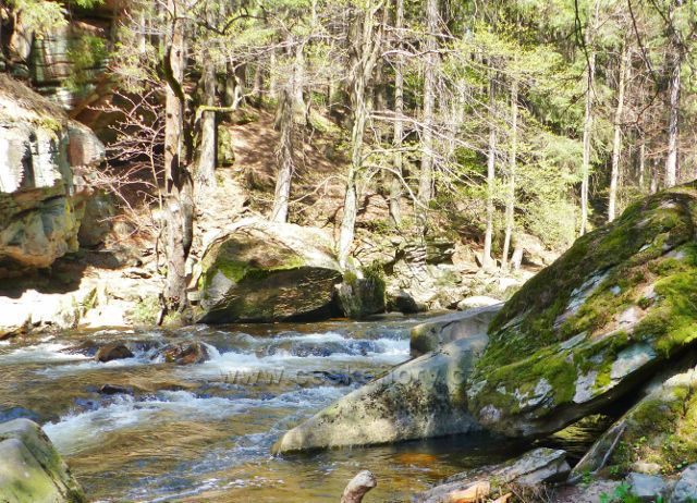 Divoká Orlice v PR Zemská brána