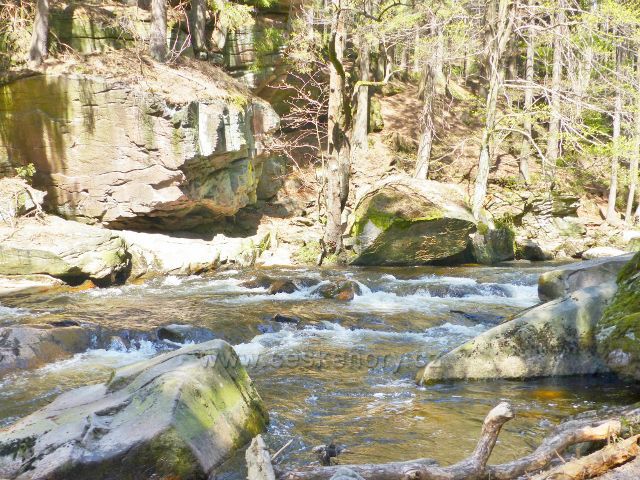 Divoká Orlice v PR Zemská brána