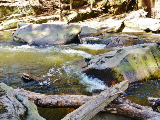 Divoká Orlice v PR Zemská brána