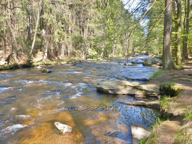 Divoká Orlice před Pašeráckou lávkou