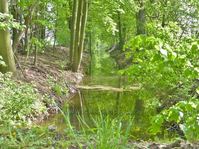 Velká strouha - umělý kanál vybudovaný ve středověku sloužil k napájení soustavy rybníků