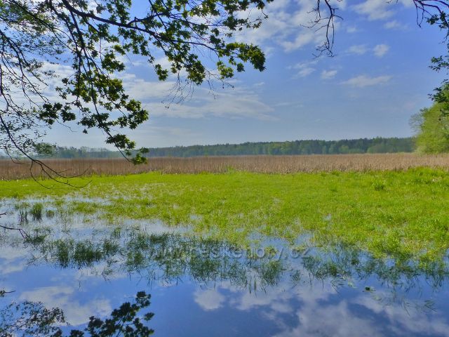 Přírodní rezervace Baroch