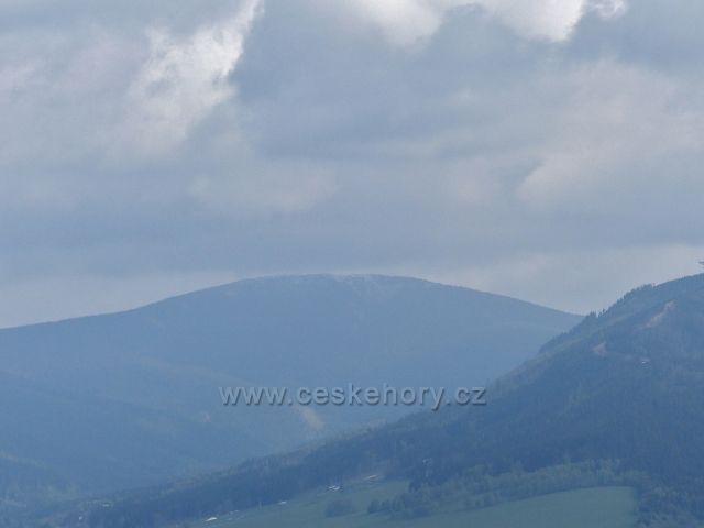 Pohled na Králický Sněžník