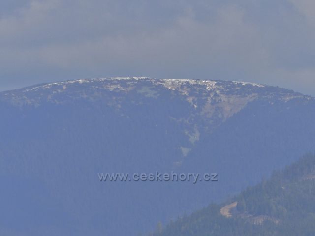 Pohled od rozhledny Val na samotný Králický Sněžník (1424 m.n.m.)