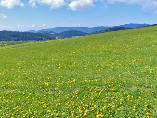 Pohled z úbočí Valu na hřeben pásma Suchý vrch- Buková hora
