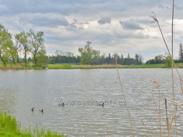 Dlouhoňovice - Nový rybník