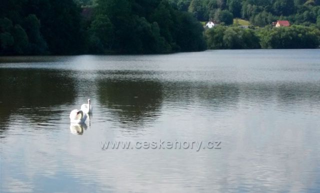 Na rybníku Petráň