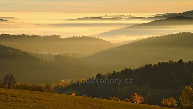 Šumava