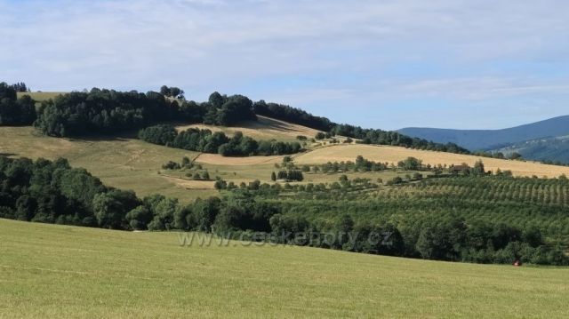 cestou přes Holý vrch z Brumova na Vršatec