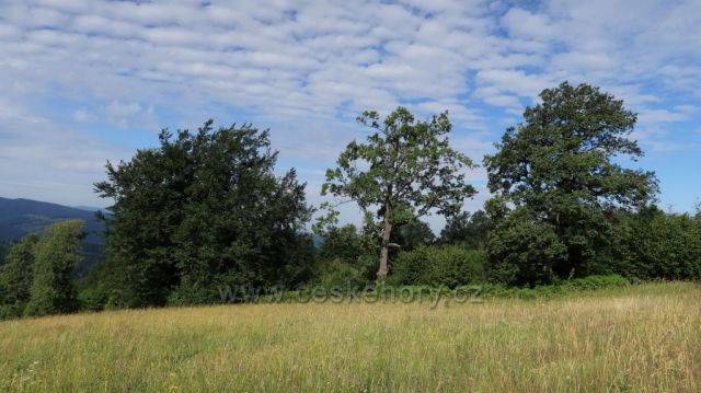 cestou přes Holý vrch z Brumova na Vršatec