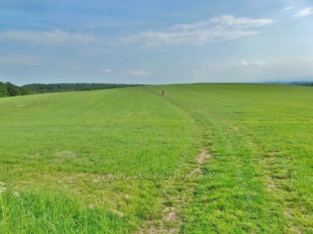 Potštejn - stezka po plochém vrcholu "kopce" Na Vrších
