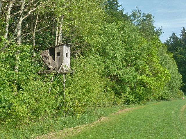 Potštejn - posed na úbočí vrchu Na Vrších