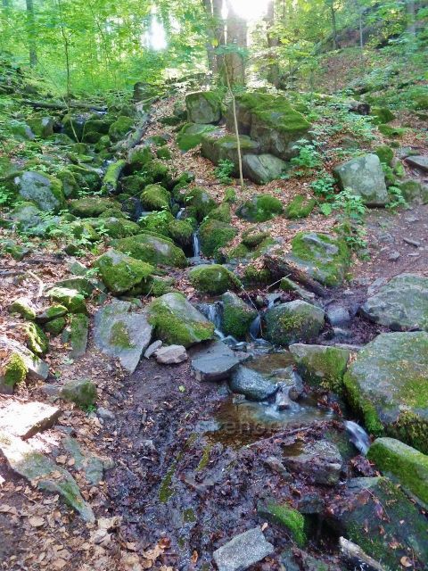 Potštejn - přírodní rezervace Modlivý důl