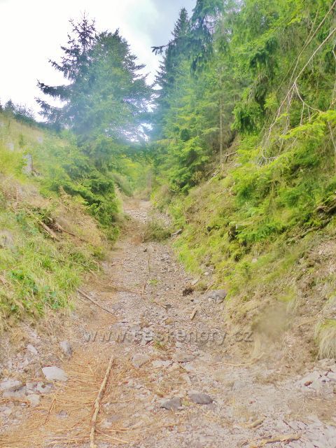 Sestupová cesta po modré TZ z Mravenčího vrchu