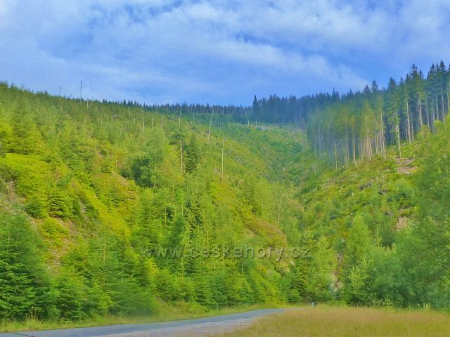 Žacléřské boudy - celkový pohled na lesní porost nad Doubravovým vodopádem